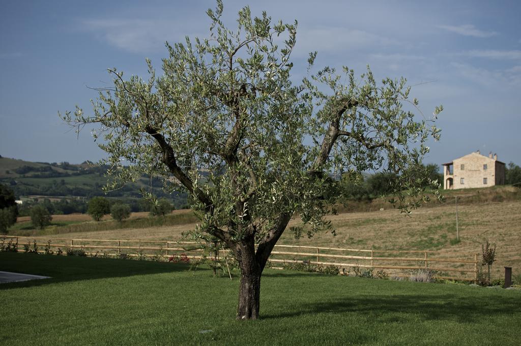 Moresco Agriturismo Eksteriør billede