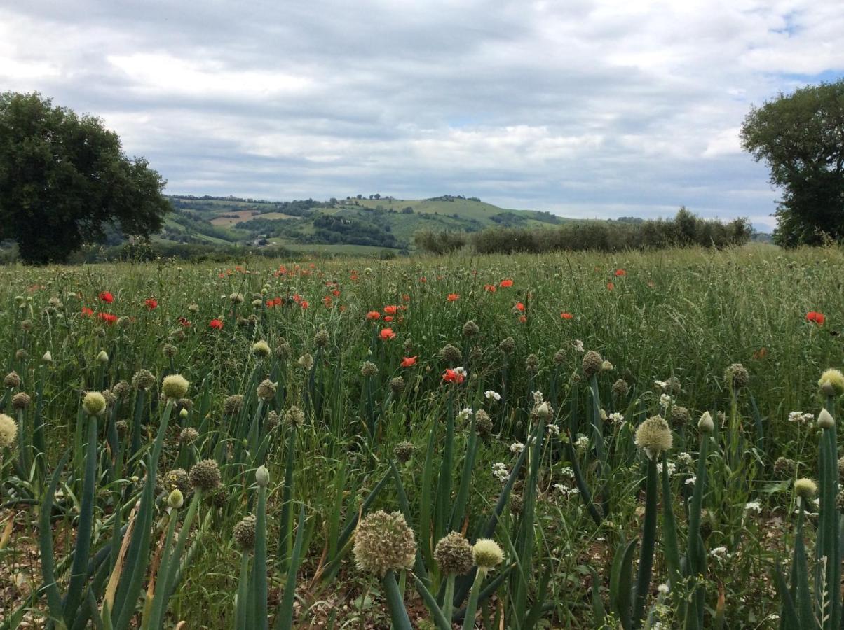 Moresco Agriturismo Eksteriør billede